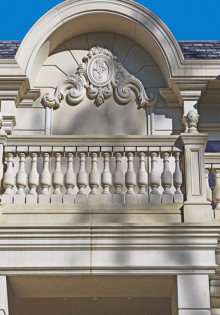 Водяные крысы: Удивительный мир уникальных существ