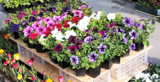 Как выбрать сухой фен для гаража: советы и рекомендации