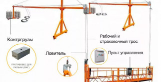 Цветочные симфонии: Многолетние цветы для вашего сада