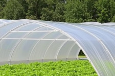 Тент из армированной пленки – лучшее решение для вашей теплицы