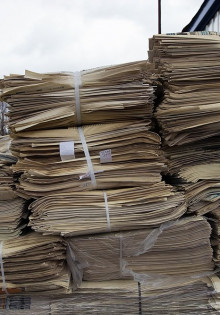 Секреты успешной подкормки плодовых деревьев весной: советы и хитрости для вашего сада