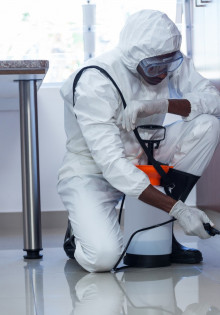 Что входит в услуги дезинсекции?