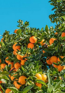 Как сделать жалюзи из ткани: ваш личный гид по уютным интерьерам