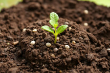 Агрофлорин — ферментный биопрепарат и почвенный пробиотик: как он работает и зачем его применять