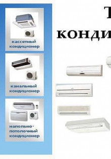 Все секреты весеннего удобрения малины: как получить вкусный и щедрый урожай