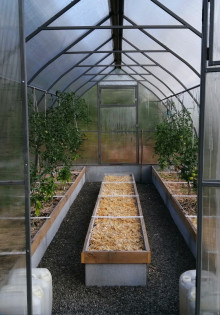 Какую теплицу установить на даче?