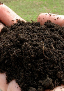 Весной в саду не без удобрений: советы по выбору и применению