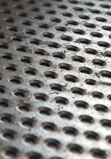 Волшебство майских цветов: Как они преображают природу и наше настроение