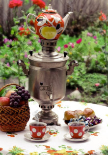 Как правильно черенковать петунию: секреты опытных садоводов