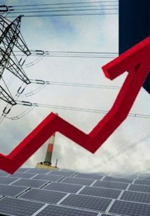 Вишня войлочная: узнайте все секреты и преимущества этого удивительного дерева