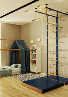 Виды шведских стенок для детей и взрослых