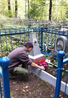 Секреты успешной посадки помидоров в теплице: от выбора сорта до оптимального расстояния