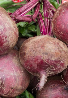 Все о болезнях крыжовника: описание, симптомы и эффективные способы лечения