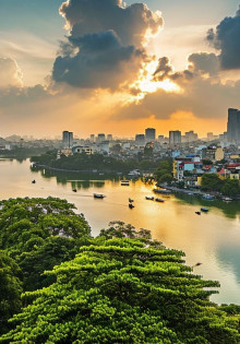 Все тайны подкормки петуний: как вырастить настоящие цветочные шедевры