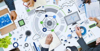 Как правильно посадить огурцы: от семечки до урожая