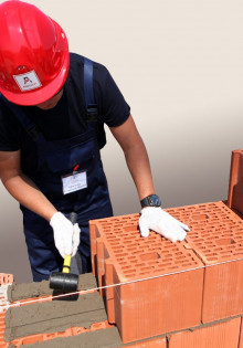 Как правильно сажать баклажаны в теплице: идеальное расстояние между растениями