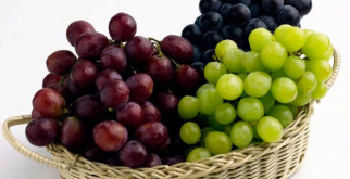 Сорта винограда