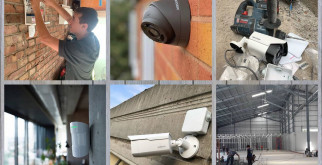 Петуния из семян: Ваш идеальный гид по выращиванию