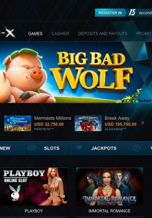 Сливово-вишневый гибрид: чудесное сочетание вкусов и возможностей