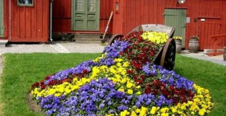 Как красиво оформить клумбу на даче?