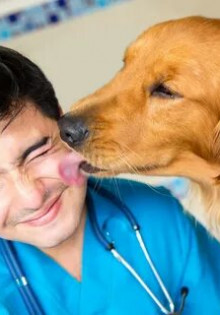 Что означают белые пятна на помидорах: причины, последствия и способы лечения