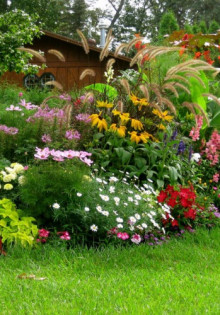 Как правильно посадить голубику весной в открытый грунт: секреты успешного урожая