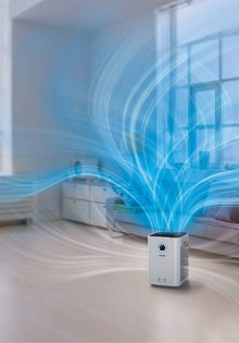 Коровяк: Исцеляющая сила и удивительные факты о растении