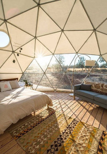 Золотарник: чудо-растение с великой силой природы