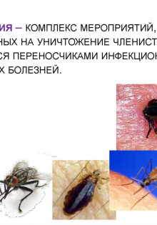 Как выполняется дезинсекция насекомых?