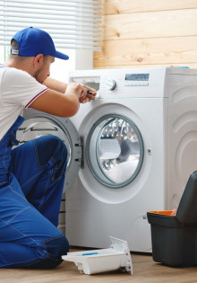 Секреты весенней подкормки сливы: как вырастить сладкий и сочный урожай