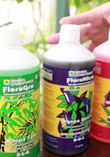 Какие удобрения нужны для выращивания растений дома?