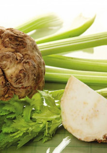 Польза корня сельдерея