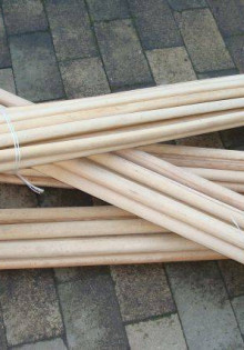 Ночная красавица: тайны цветка, который цветет под покровом ночи