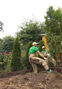 Какие растения лучше всего сажать осенью