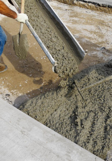 Как правильно подкормить клематисы весной: секреты успешного роста и цветения