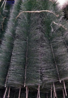 Табачная пыль от тли: Как сохранить свои растения и избавиться от вредителей