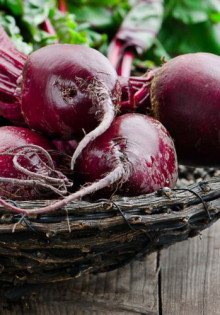 Яблоня китайка: волшебный мир сладких плодов и богатых традиций