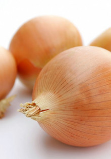 Аквилегия: Цветок, Вдохновляющий на Красоту и Уют