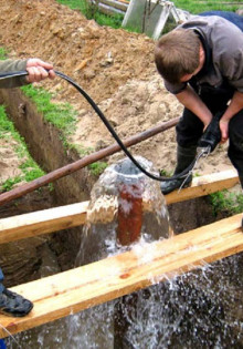 Все про посадку томатов в грунт: секреты, советы и хитрости для успешного урожая