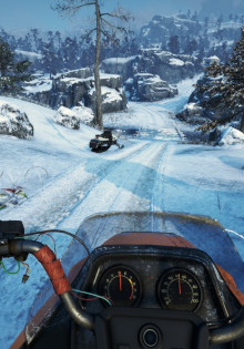 Какое насекомое поедает листья картофеля: знакомимся с врагами ваших растений