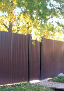 Эффективные средства против тли на растениях: как защитить свой сад?