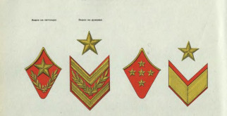 Первая подкормка томатов после высадки в теплицу: секреты успешного роста