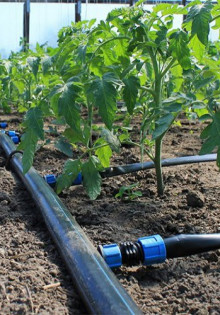 Как правильно стелить ламинат на бетонный пол своими руками: пошаговая инструкция с видео