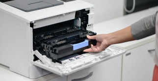 Лук-порей: секреты успешного выращивания и ухода в открытом грунте