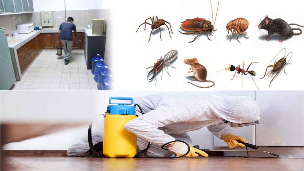 Потравить насекомых в квартире