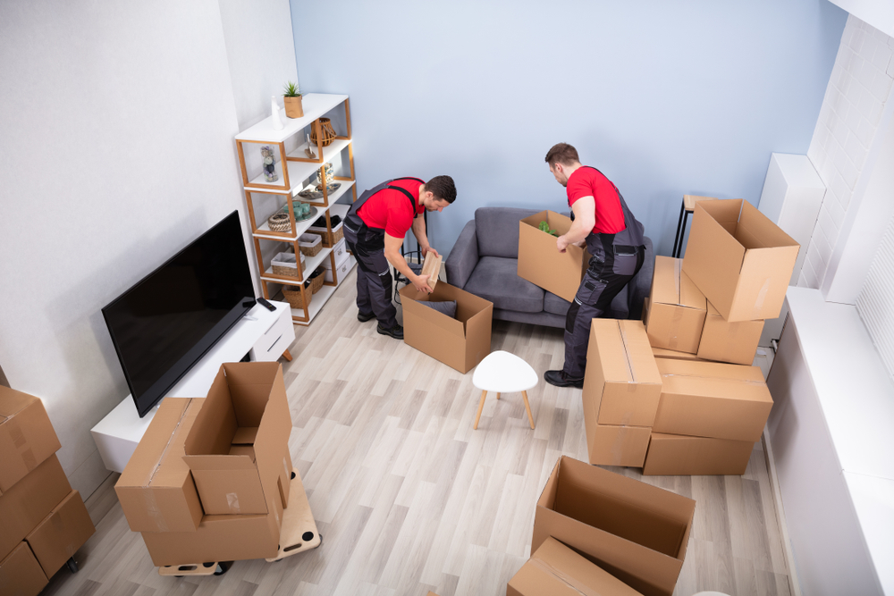Безопасность и комфорт в переездах: как грузчики помогут при переезде в новую квартиру