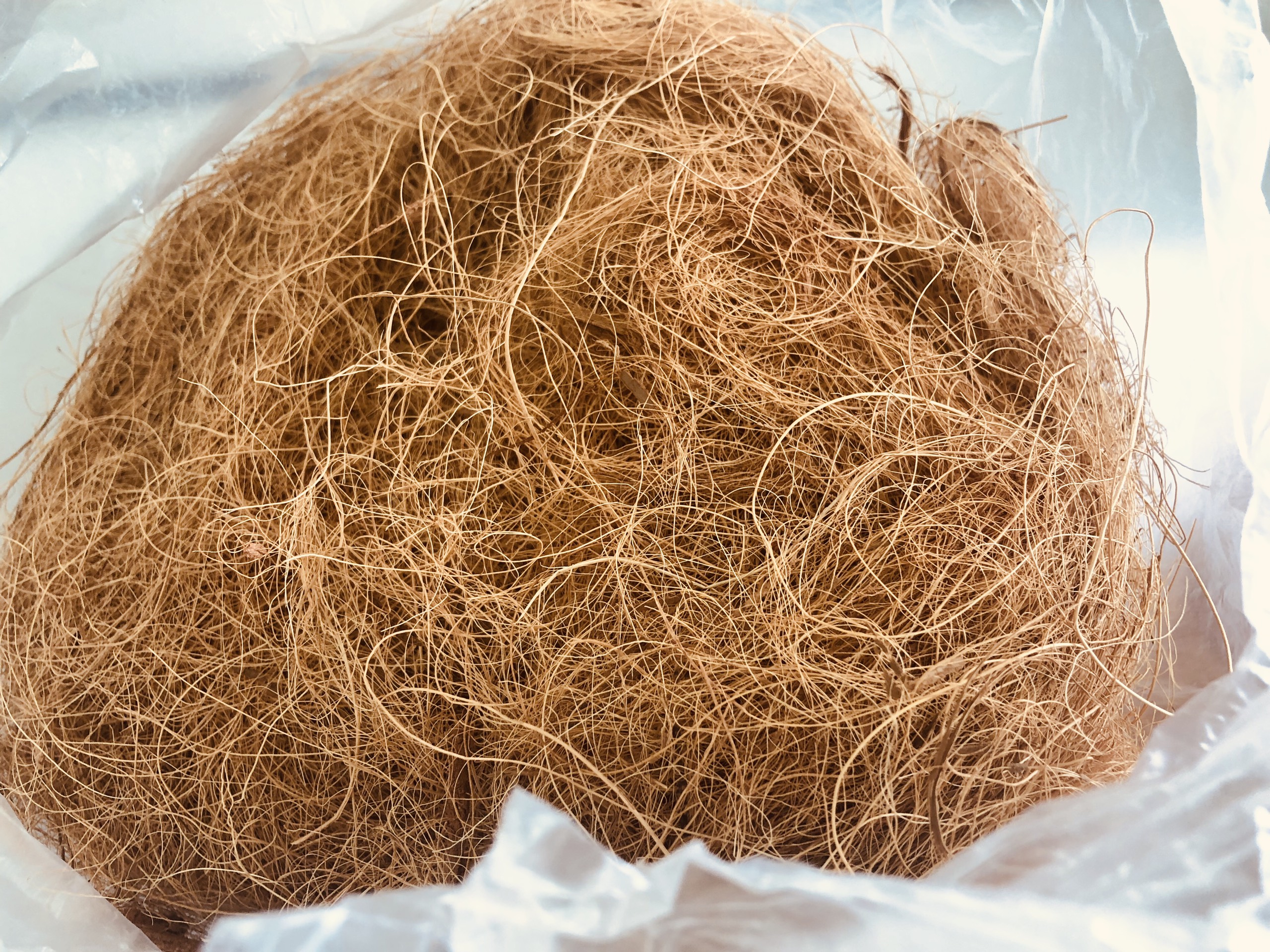 Кокосовые волокна - идеальный субстрат для здоровья и роста ваших растений